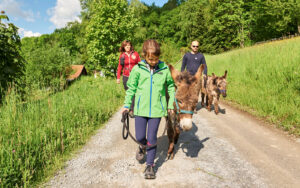Familie und Kinder auf Tiererlebniswanderweg Bayerischer Wald