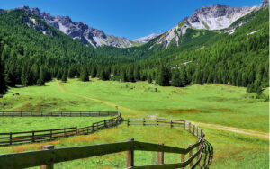 Alpen, Berge, SEO2B